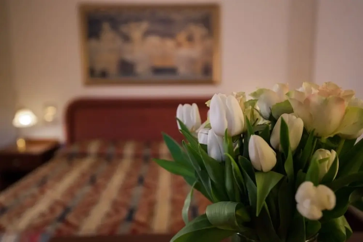 1 Bedroom Classic Suite with balcony and with park view