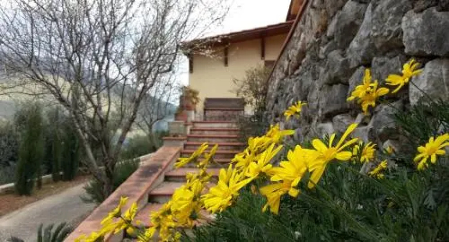 Casa degli Ulivi