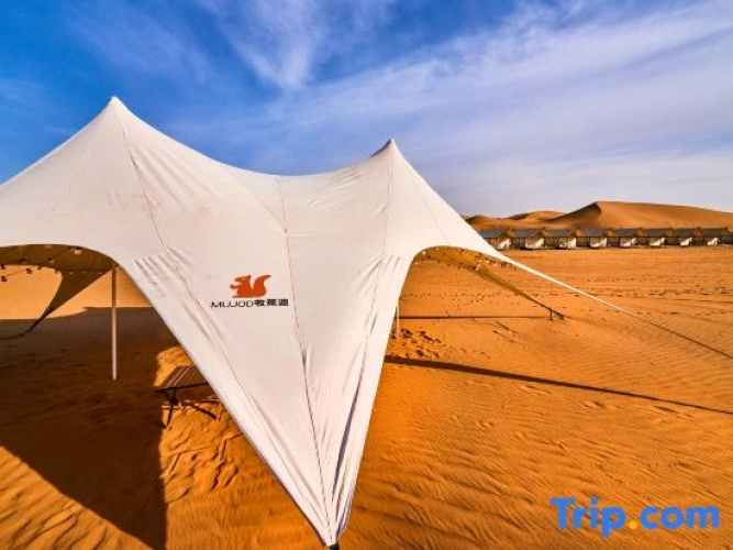 Desert City Desert Stay Collection