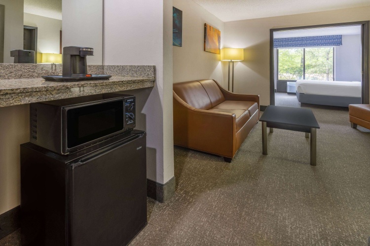 Wingate by Wyndham Atlanta Galleria/Ballpark photo 21
