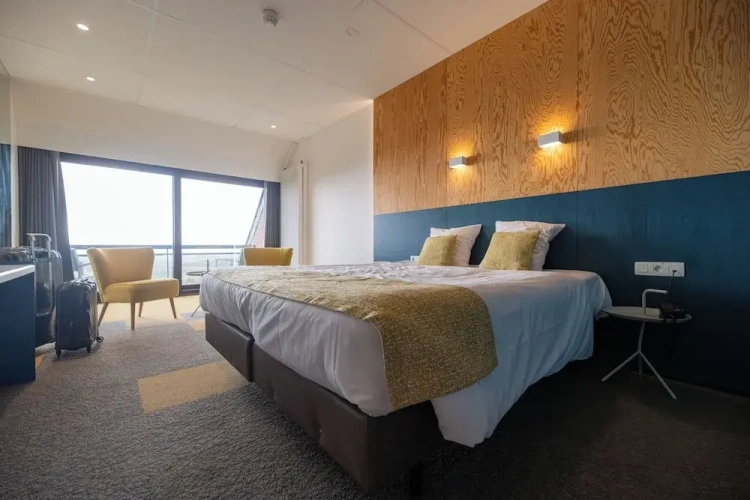 Standard Double room with balcony and with panoramic view