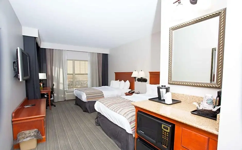 One Bedroom Quadruple Suite
