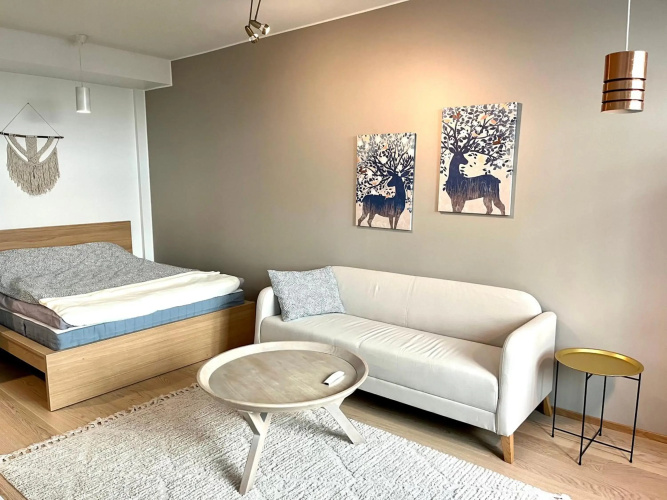 Downtown Suite