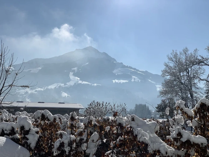 2 Bedrooms Basement Apartment with mountain view