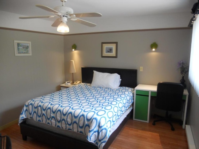 Deluxe Double room with garden view