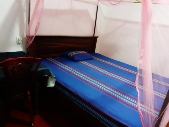 Standard Double room with garden view