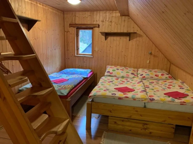 Standard Family room