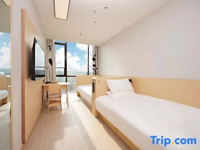 Standard Twin room with view