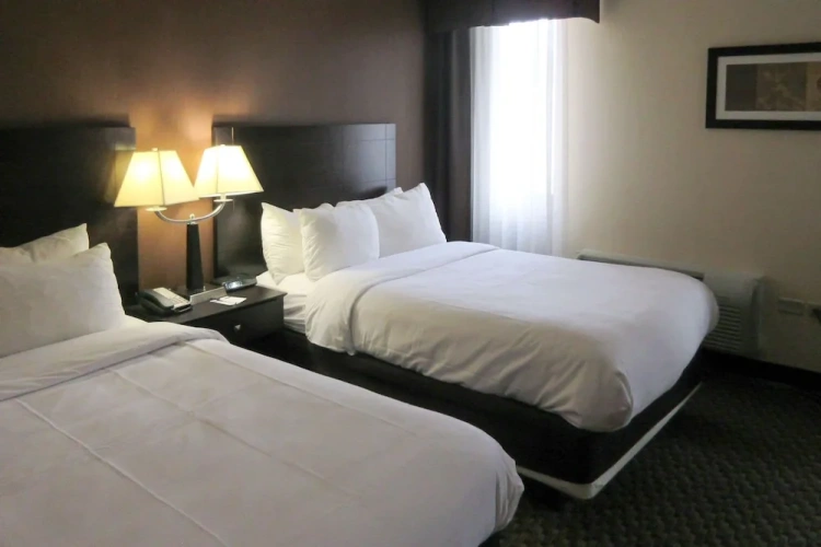 Suite