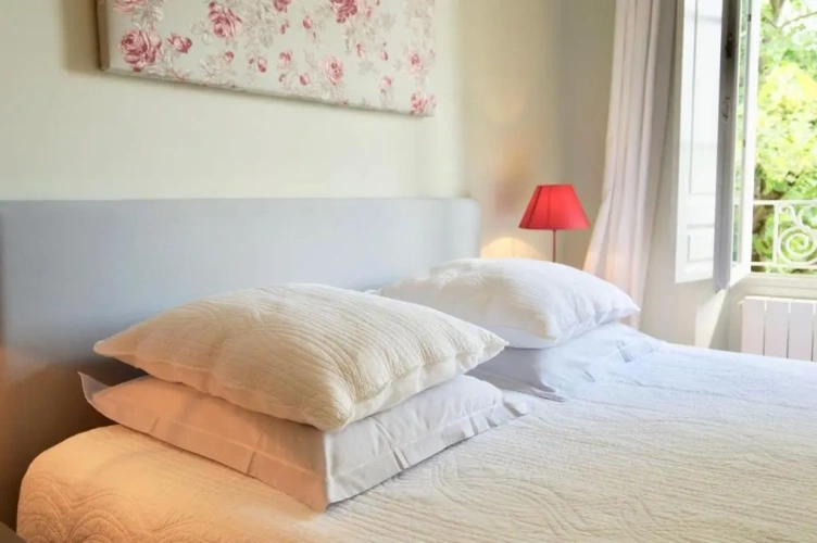 Standard Double room with garden view