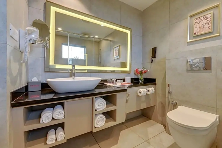 Standard Twin Club room