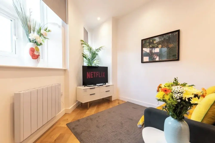 1 Bedroom Deluxe Apartment