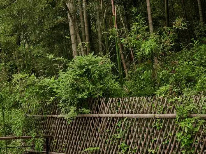 Mogan Chun Mountain View B&B