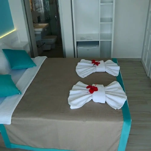 Standard Double room with balcony and with sea view