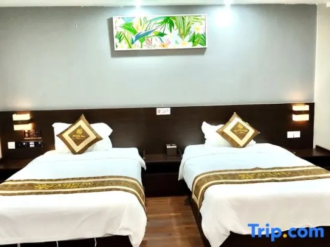 Standard Double room with city view