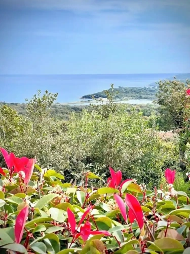 Studio with sea view