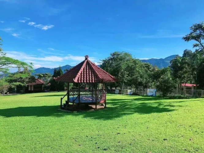 3 Bedrooms Attic Cottage with garden view