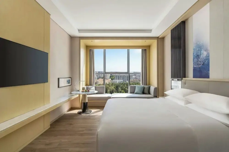 Business Double room with city view
