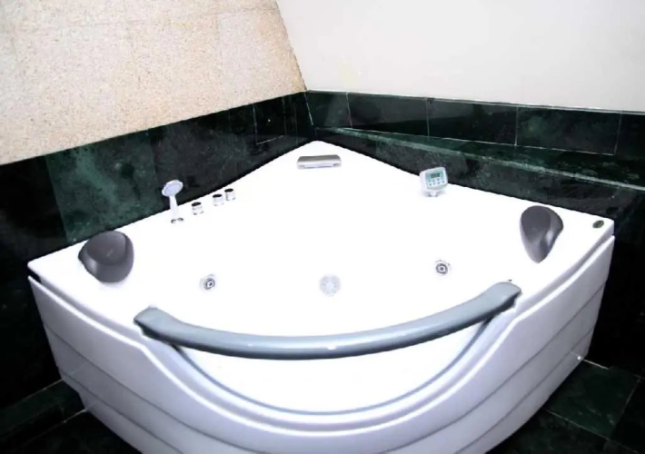 Фотография номера гостиницы Hotel Sachveno