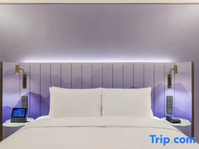 Duplex Suite