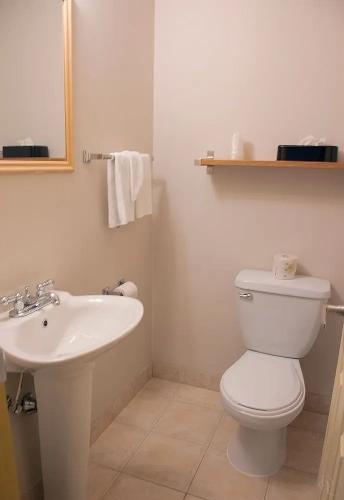 1 Bedroom Presidential Double Suite