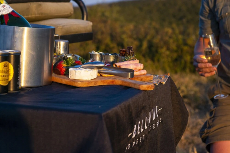 Stargazer Camp - Bellevue Forest Reserve