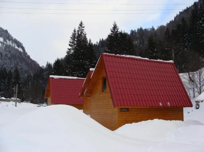 Bungalow