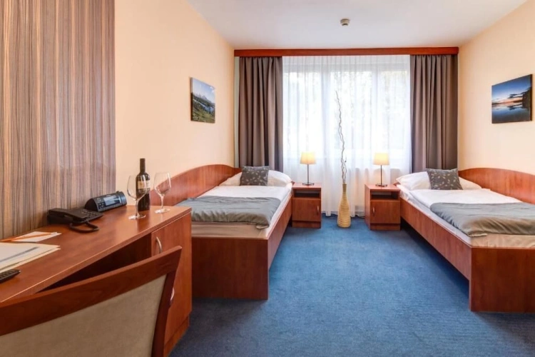 Comfort Twin room with city view