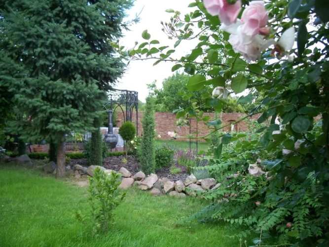 Standard Double room with park view