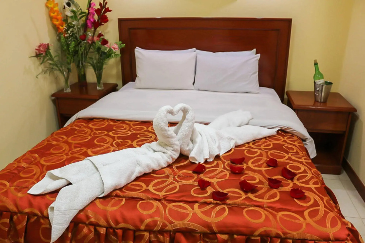 Hotel Elmer-Z