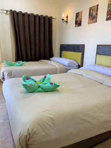 Reef house hotel Marsa Alam