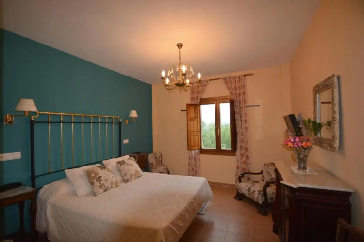 Standard Double room with mountain view