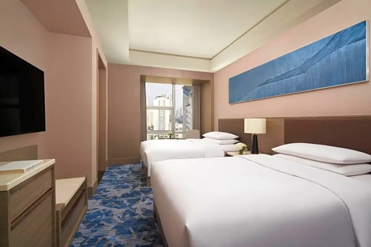 Deluxe Double room with city view