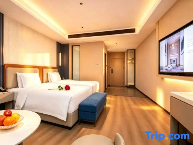 Twin Suite
