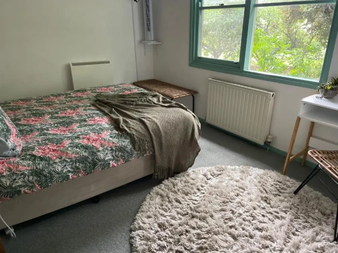 Deluxe Double room with view