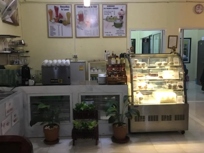 Coco Khao Sok Hostel