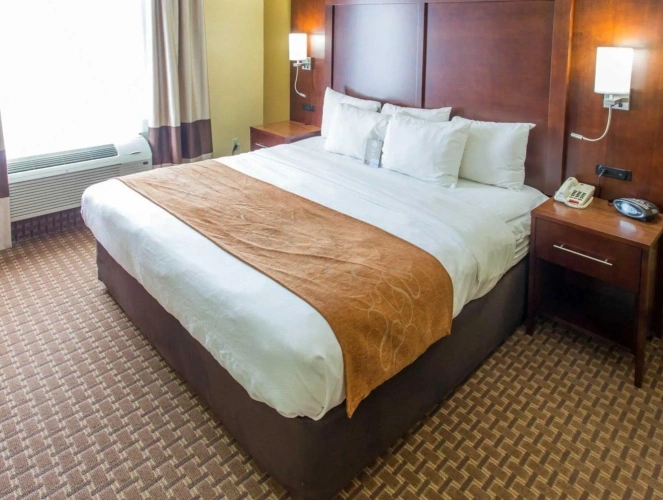 1 Bedroom Standard Double room