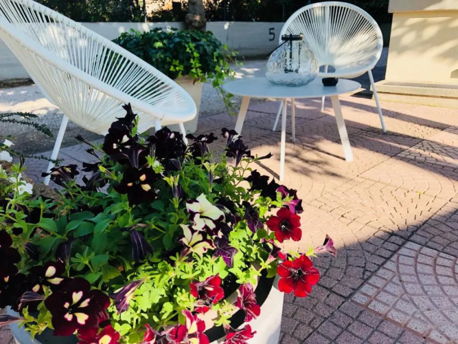 Hotel Aplo - Breakfast Experience