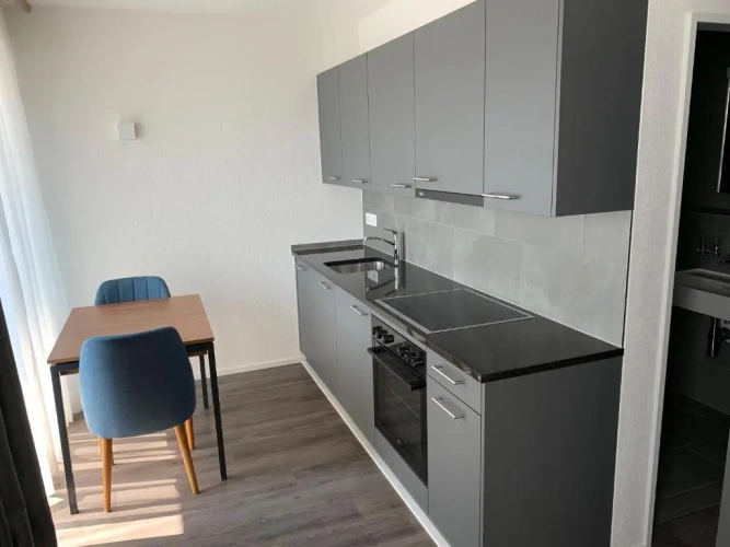 1 Bedroom Apartment