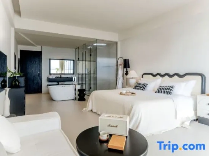 Standard Double room with balcony and with sea view
