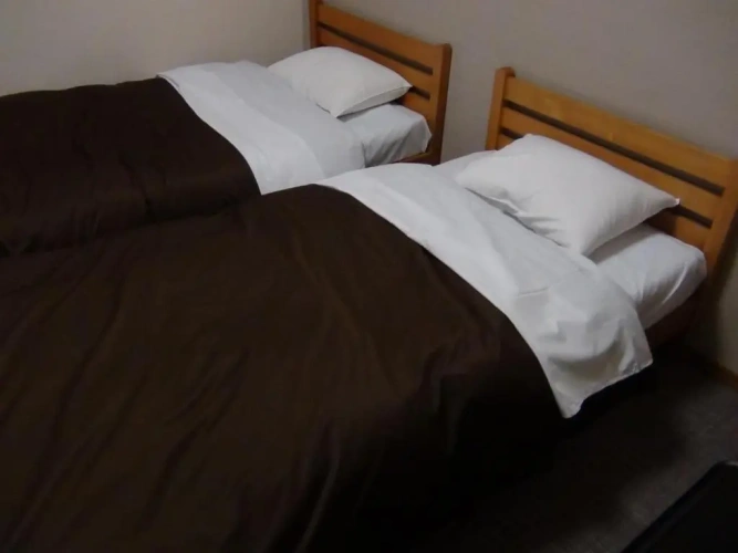 Economy Twin room