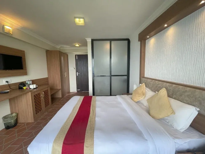1 Bedroom Deluxe Double room with balcony and with mountain view