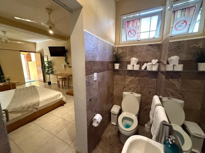 Economy Double room with garden view