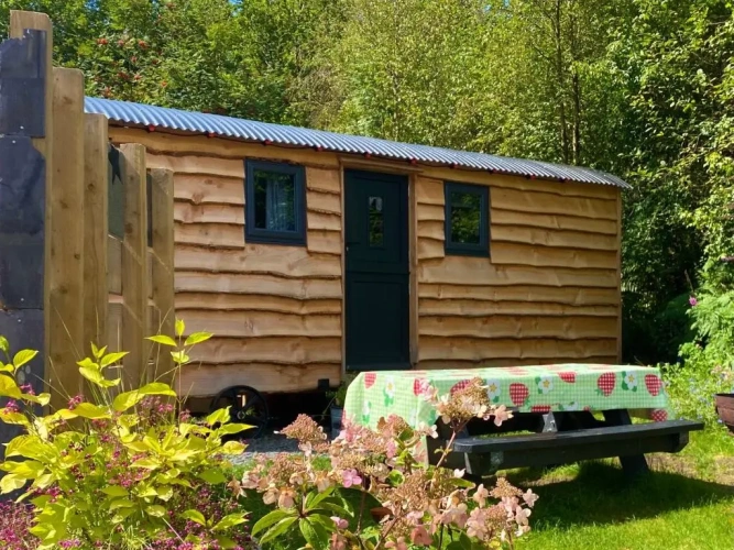 1 Bedroom Chalet
