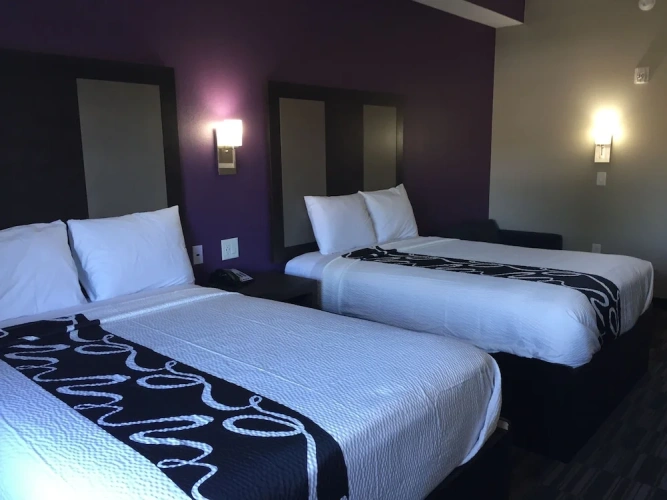 Quadruple Suite