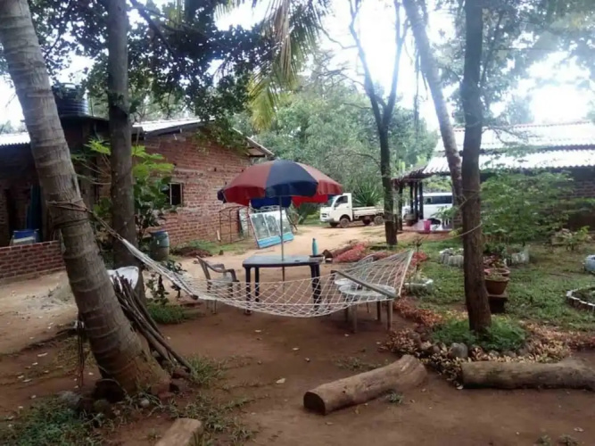 Yoho Mango Tree Home Stay & Hostel