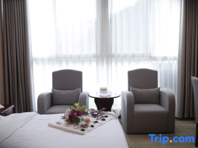 Deluxe Double room with mountain view