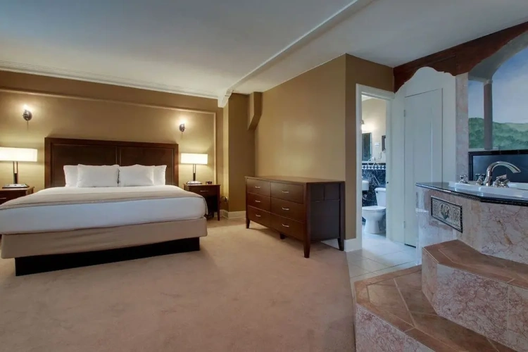 1 Bedroom Suite with city view