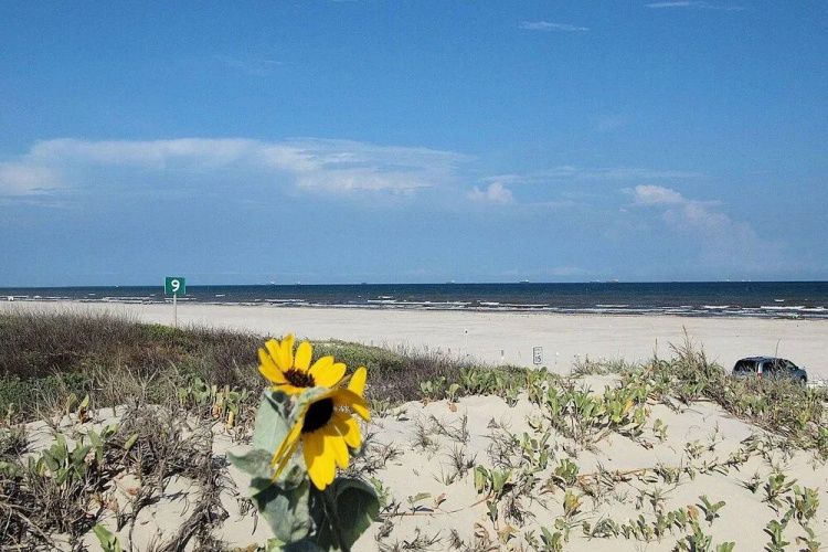 We Shell Sea 5Br Home