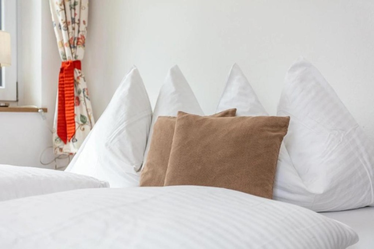 Standard Double room with mountain view